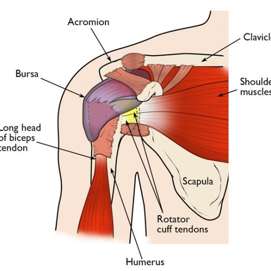 Rotator Cuff Pain Relief